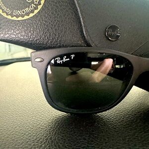 Ray an Polarized Black Matte Wayfair glasses